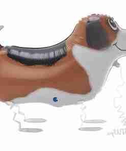 Alternative view of Globo Perro Caminante